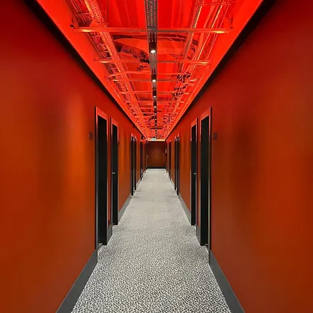 Modern Big In Apartment